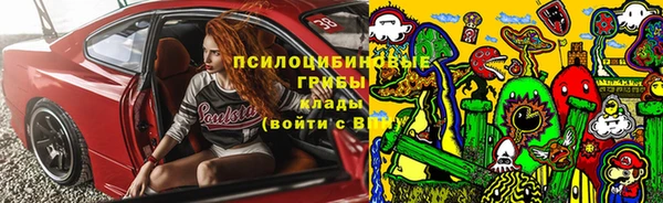 амф Алзамай