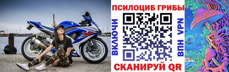 Псилоцибиновые грибы Psilocybe Железноводск